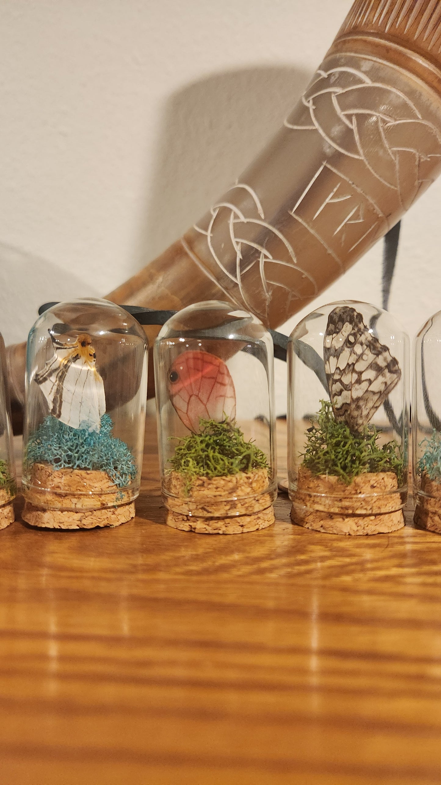 Random Small Wing Domes