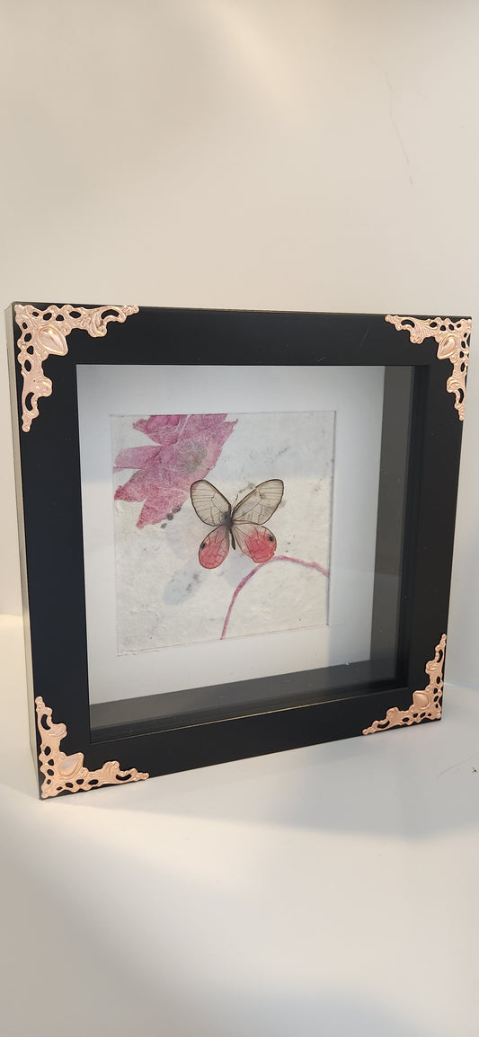 Pink Clear Wing Butterfly Framed