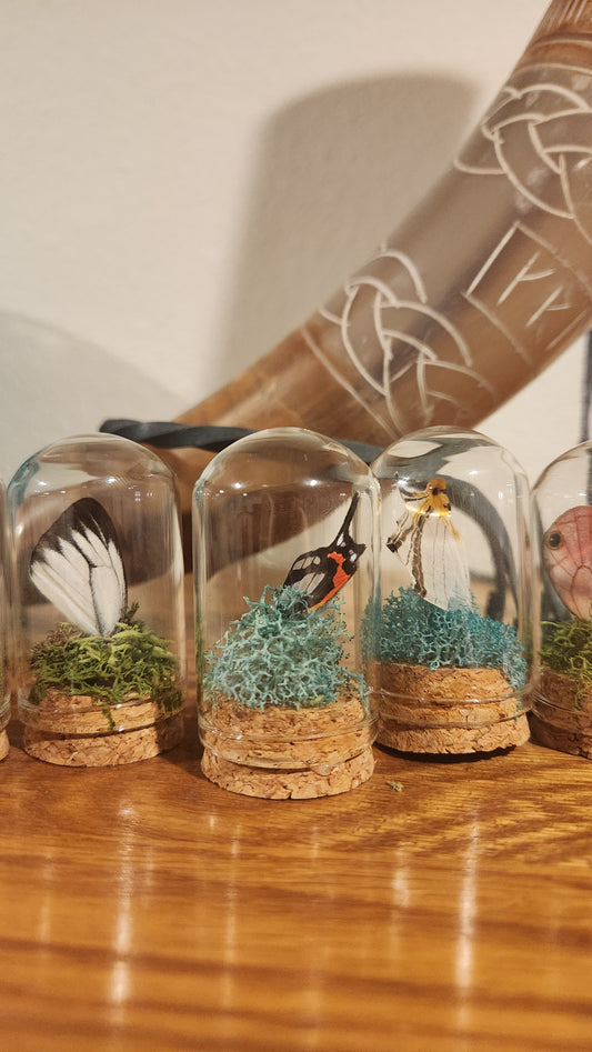 Random Small Wing Domes